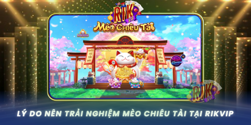 Ly Do Nen Trai Nghiem Meo Chieu Tai Tai Rikvip